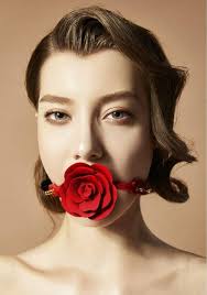 Amazon.com: ZALO & UPKO Doll Designer Collection Rose Ball Gag