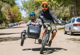 Image result for bicycle sidecar