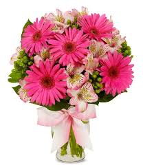 329 main street, ames, 50010, ia, usa. Gerbera Flower Arrangements
