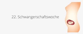 Dein baby ist in der 6. 22 Ssw Schwangerschaftswoche Baby Gewicht Grosse In 22 Ssw