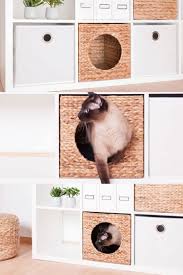 Inwona Ikea Kallax Katzenkorb Amazon Janablondi Katzenkorb Ikea Katzen Katzen