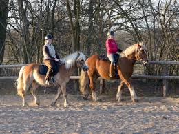 Steffis Freizeitreiten Unterricht Kinder Reiten Lernen Spiel Und Spass Teamfahigkeit