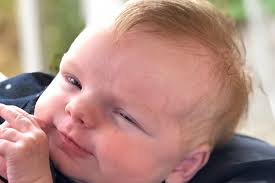 Fundraiser by Greg Johnston : Adopting Cordelia