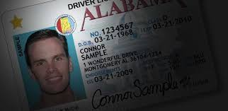 Lamar county tax office hours are: Lamar County Tag Title 44690 Highway 17 Vernon Al 35592 Dmv