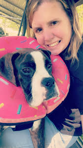 2.5 almost 3 years this little chonky monkey came into my life and he's  never left my side since (besides when dad has food 🙄). He's my love bug,  my other side