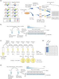 Oasis əʊˈeɪsɪs war eine britische band, die im oktober 1991 gegründet wurde. Robust Estimation Of Bacterial Cell Count From Optical Density Communications Biology