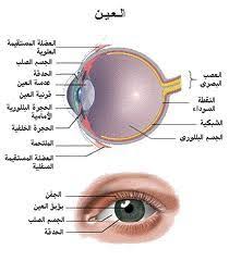 قصص وعبر حاجز العين blog posts blog post