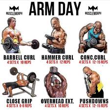 Underhand seated row · 5. Gym Workout Chart Blast Your Arms With This Workout Facebook