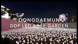 Seoul Trip 2018 Dongdaemun Ddp Led Rose Garden Youtube