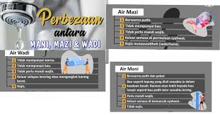 Perbedaan antara mani madzi dan wadi. Qhvenvy Asyipm