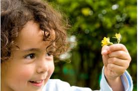 Potty Training Toddlers While Homeschooling