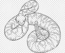 Natural form art seashell painting fish drawings texture photography fish scales free images how to find out fish ocean. Western Diamondback Rattlesnake Western Animals Monochrome Head Png Pngwing