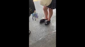 あぁ、素晴らしき女の子たち - PALPIS(パルピス)-JKの靴脱ぎ特集2