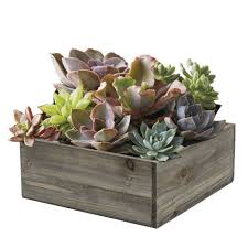 Mkono plant stand mid century wood flower pot holder (plant pot not included) modern potted stand indoor display rack rustic decor, up to 10 inch planter, brown visit the mkono store 4.6 out of 5 stars 4,817 ratings 4 X 10 X 10 Inch Square Rustic Wood Planter Wholesale