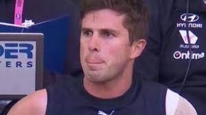 AFL Teams Round 19: Carlton Blues star Marc Murphy's 300 games milestone  hopes