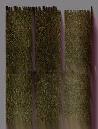 Selection Of The New College President