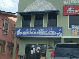 Makmal kesihatan awam kota bharu, kelantan. Kembara Minda 7 Suntikan Perancang Untuk Kucing