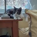 Profile Picture of Kayla Gesing (kgesin01) - Profile - Pintereston Google