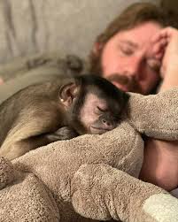 🎁🐒Advent Door A Day With Gaitlyn Rae Day 21🎄🎅🧑‍🎄🎁🐒❤️ #followers  #gaitlynrae #love #Advent #Christmas