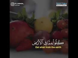 سبح اسم ربك الأعلى الذي خلق فسوى أحمد النفيس برواية خلف عن حمرة Youtube