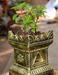 Here are some of the most important vastu tips and remedies for leading a happy and prosperous life. Vastu Shastra Tips To Welcome Good Fortune At Home Through Plants Architectural Digest India