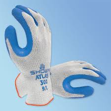 Image result for Atlas 300