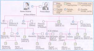 Knowledge Class Sex Linked Inheritance In Man