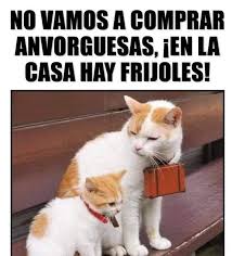 En La Casa Hay Frijoles Gatos Memes Humormemes Memesespanol Memesgraciosos Imagenesgraciosas Memesenespanol Mem Memes Divertidos Meme Divertido Memes