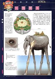 The closest major town is egilsstaðir, 44 miles (72 km) to the east. Elephant Island One Piece