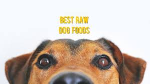 Often times a butcher shop has scraps and leftovers they are willing to sell the best place to feed your dog on a raw food diet is your backyard if possible. Best Raw Dog Food 20 Best Raw Foods For Dogs Reviews