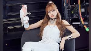Di mv debut solo, lisa blackpink kenakan pakaian khas tradisional thailand. Aneka Kuliner Kentang Goreng Makanan Favorit Lisa Blackpink Travel Tempo Co