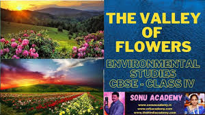 Pakoras are made by coating ingredients, usually vegetables, in a spiced batter, then deep frying them. Sonu Academy The Valley Of Flowers Text