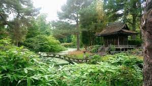 Edging Toward Japan A Fantasy Of Japan Revealed In A Lavish Japanese Garden Far Away The Mainichi