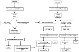 Flow Chart For Kefir Sample Production And Experimental