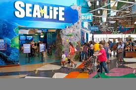 Learn how to walk a distance walking workout to build endurance. The 10 Best Malls And Shopping Centers In Dallas Ranked