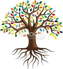 An Illustration Of A Tree With Roots And Brightly Colored Leaves The Tree Illustration Tree Drawing Simple Art