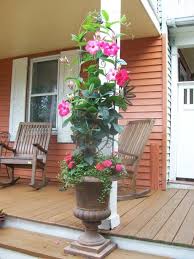 Information About Rate My Space Container Plants Container Garden Design Container Gardening