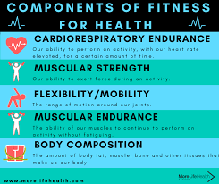 Health related components of fitness kmcnal1. Components Of Fitness For Seniors Health More Life Health More Life Health Seniors Health Fitness