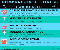 Components Of Fitness For Seniors Health More Life Health More Life Health Seniors Health Fitness