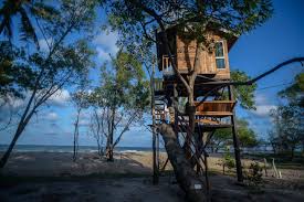 Dia naik ke atas pangkuanku membelakangiku. Kekunang Tering Chalet Pekan Tawar Percutiaan Rumah Pokok Tepi Laut Rare Weh Libur