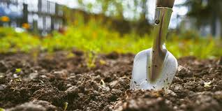 Free shipping on qualified orders. How To Start No Till Gardening Salisbury Greenhouse