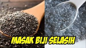 We did not find results for: Cara Masak Biji Selasih Yang Masih Kering Youtube