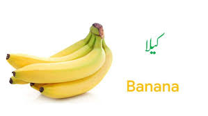 All Fruit Names In English And Urdu With Pictures Download Pdf In 2020 Fruit Names Fruits Name In English Fruit