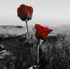 Black And White Art With Red Accents Pin By Raho0ofy994 On Gull Rim Color Splash Red Color Splash Colorful Art