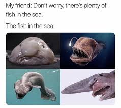 Plenty Fish In The Sea Meme Short Jokes Funny Really Funny Memes Stupid Funny Memes