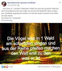 7 Nachdenkliche Spruche Mit Bildern Hafft De