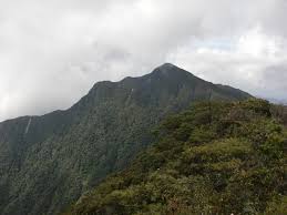 Mountain trusmadi | gunung trusmadi •2642 meter / 8669 feet •trusmadi range, trusmadi forest reserve, sabah •malaysia second highest peak, close to mount kinabalu. 6 Deretan Gunung Tertinggi Yang Ada Di Malaysia Ini Patut Untuk Lo Taklukan Bro