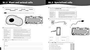 activate 1 workbook year 7 science workbook ofamily learning together