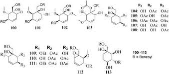 Image result for Monanthotaxis trichantha