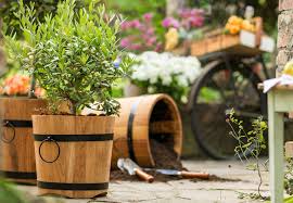 Gartenpflanzen günstig online kaufen auf garten schlüter de. Gartenzubehor Gartenartikel Online Bestellen Bei Waschbar